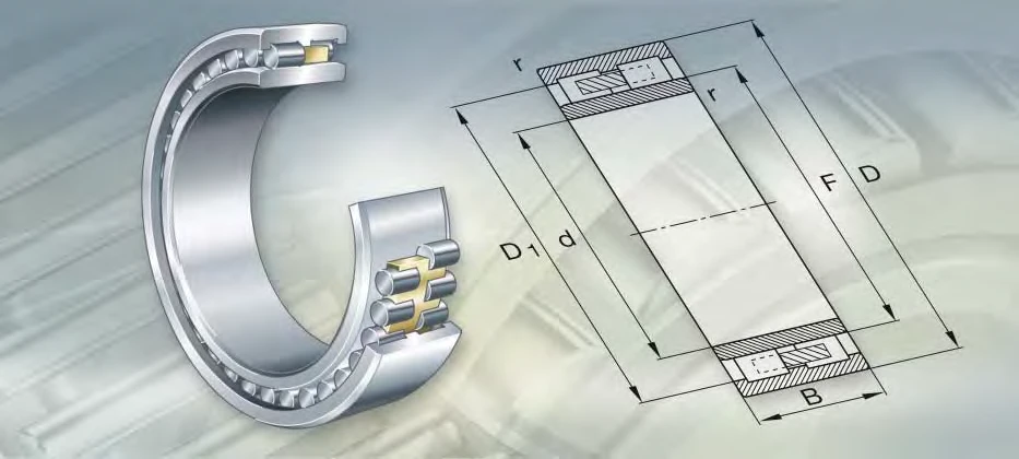 NNU4968-S-K-M-SP specification